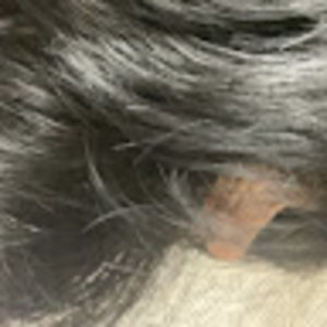 Meet your Posher, Siana